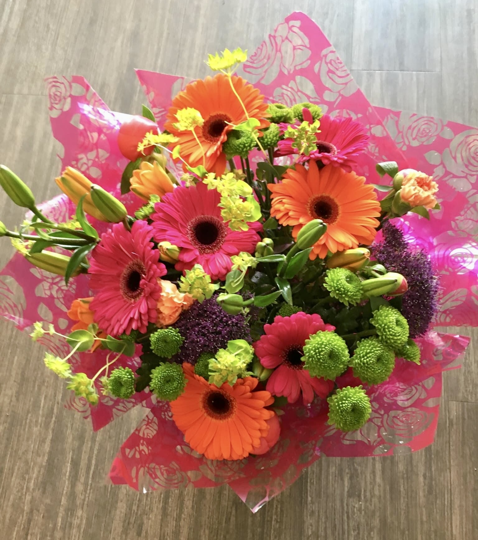 Gerbera Spirit