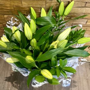 Pure and Simple White Lily Bouquet Same Day Delivery